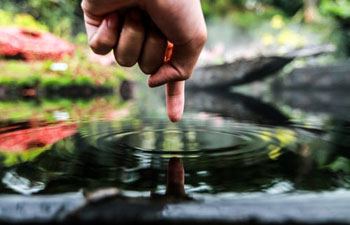 Biologisch evenwicht en waterwaarden van de vijver