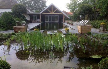 Zwemvijver aanleggen